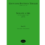 Tibaldi, Giovanni Battista: [12] Sonate da camera a tre...op. 2 (1704), Vol. II