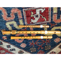 von Huene SAT Renaissance recorder set